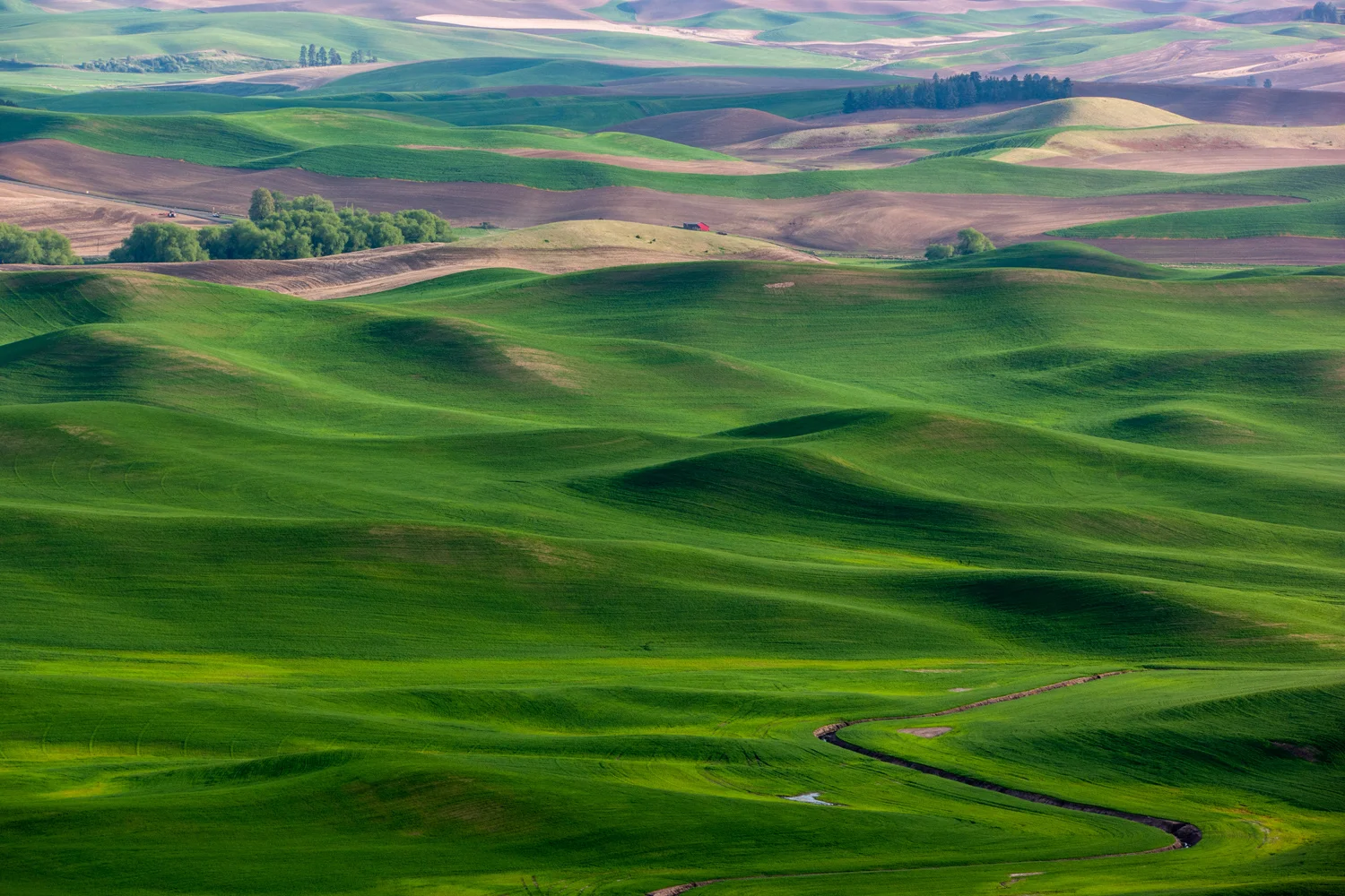 Wasim Muklashy Photography_Tesla Trip_Columbia River Gorge_Oregon_Washington_Palouse_115.jpg