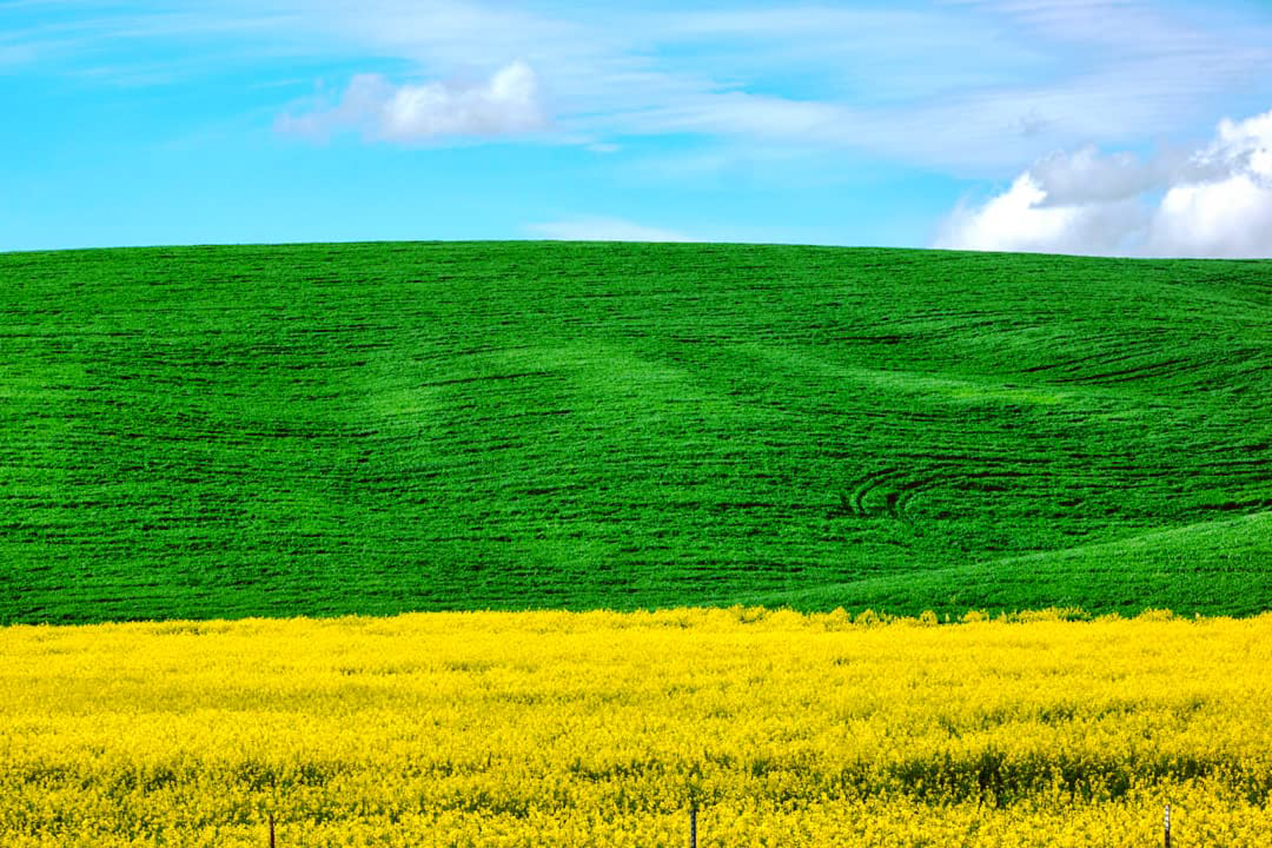 Wasim Muklashy Photography_Tesla Trip_Columbia River Gorge_Oregon_Washington_Palouse_181.jpg