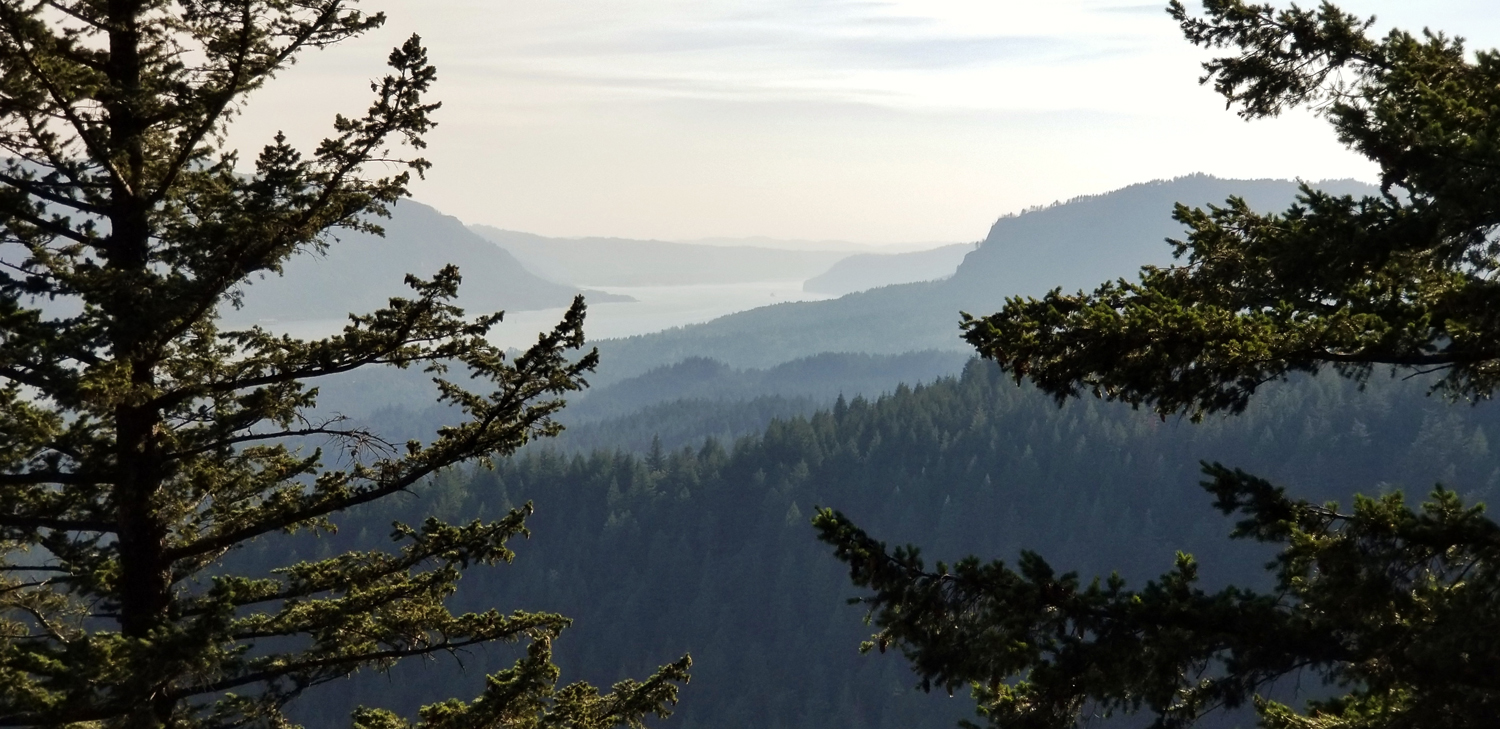 Wasim Muklashy Photography_Wasim of Nazareth_Columbia River Gorge_Pacific Northwest_Hamilton Mountain_Pool of the Winds_Beacon Rock State Park_Washington_107.jpg
