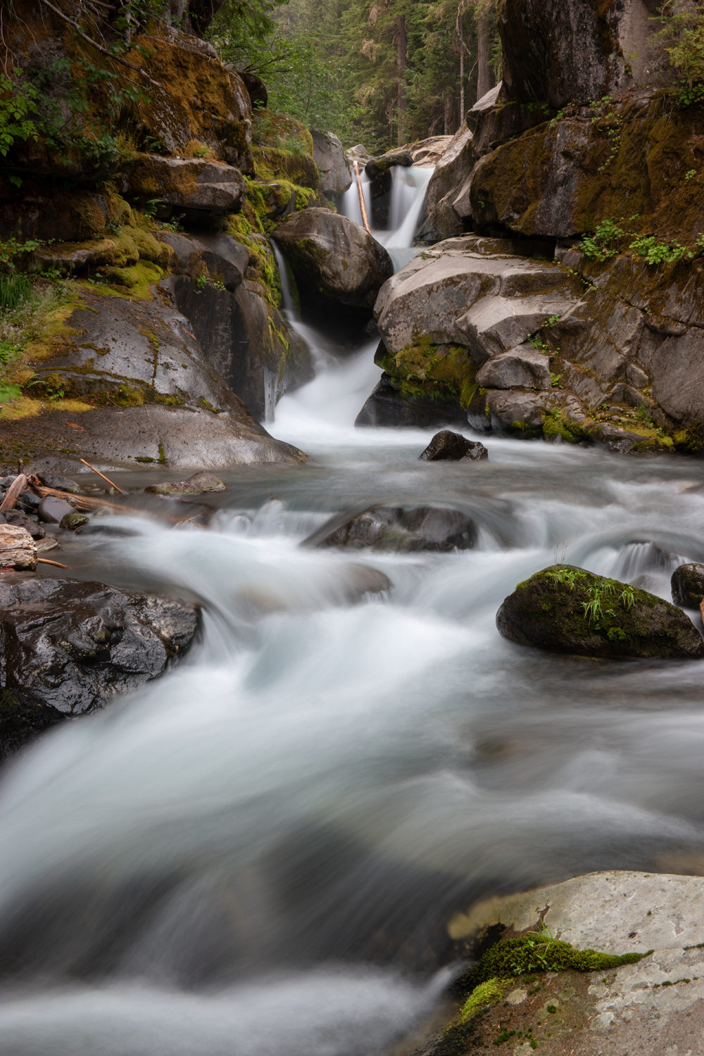 Wasim Muklashy Photography_Wasim of Nazareth_Mount Rainier National Park_Washington_107.jpg