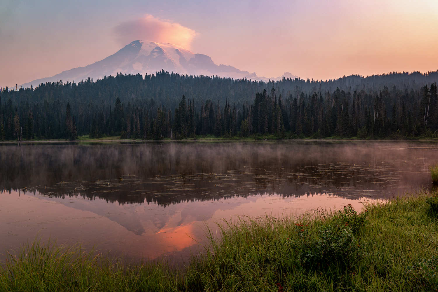 Wasim Muklashy Photography_Wasim of Nazareth_Mount Rainier National Park_Washington_109.jpg