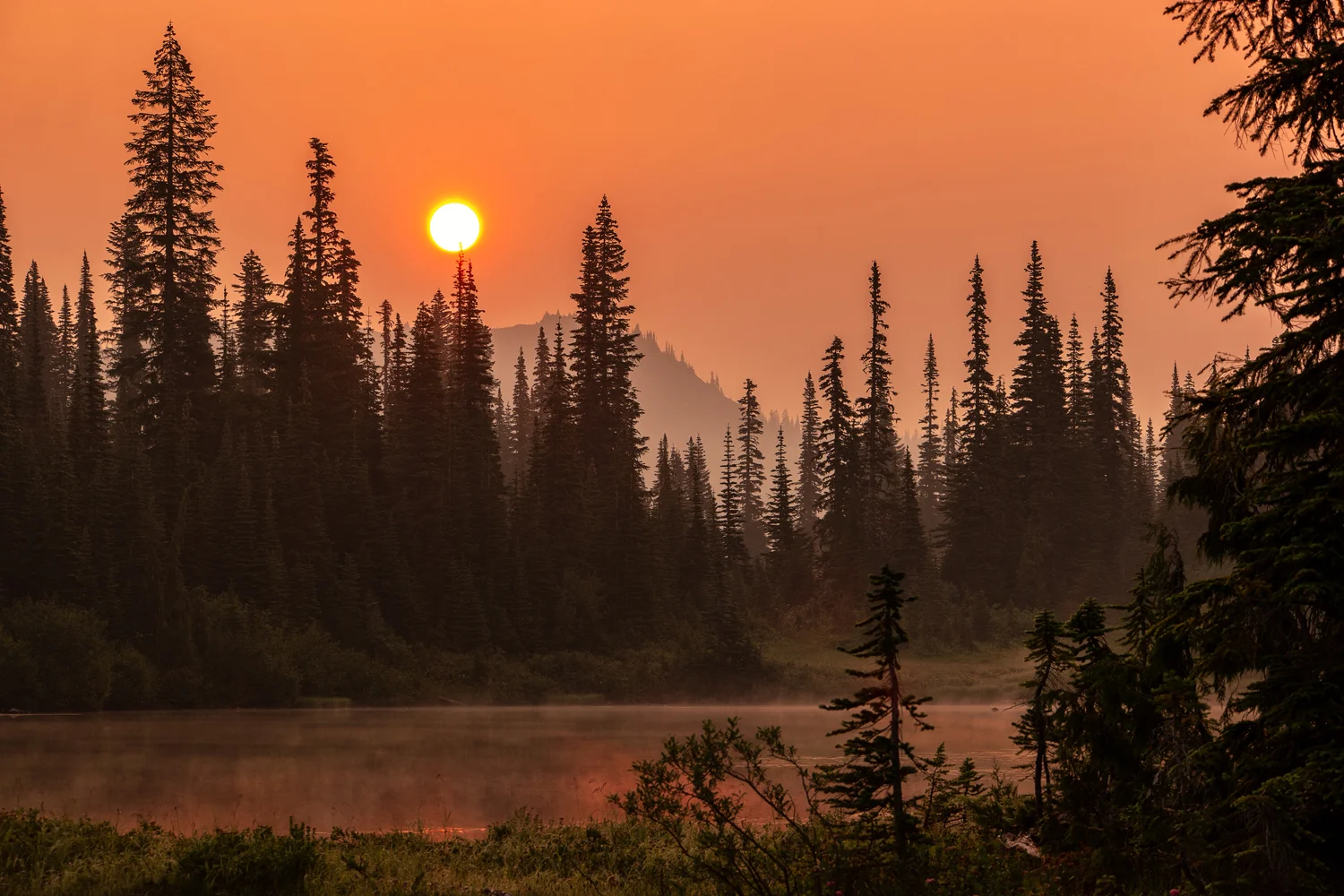 Wasim Muklashy Photography_Wasim of Nazareth_Mount Rainier National Park_Washington_121.jpg