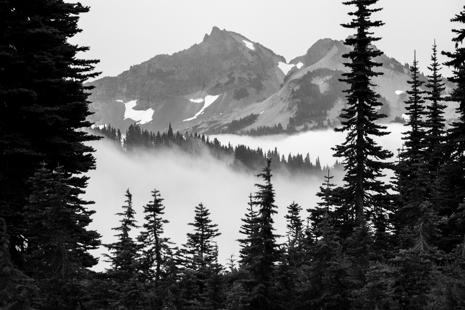 Wasim Muklashy Photography_Wasim of Nazareth_Mount Rainier National Park_Washington_127.jpg