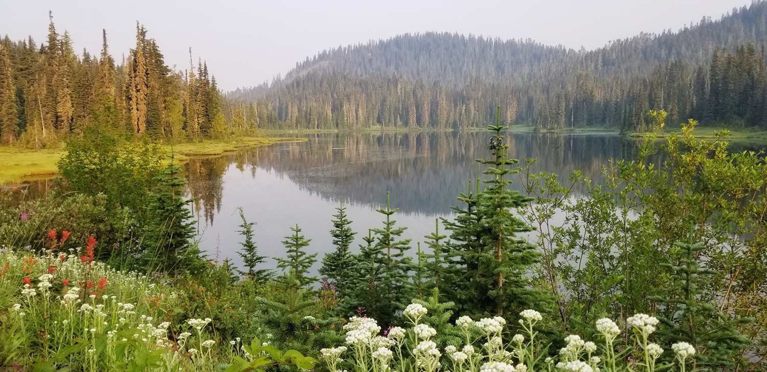 Wasim Muklashy Photography_Wasim of Nazareth_Columbia River Gorge_Pacific Northwest_Hamilton Mountain_Pool of the Winds_Beacon Rock State Park_Washington_Galaxy Note 8_203.jpg