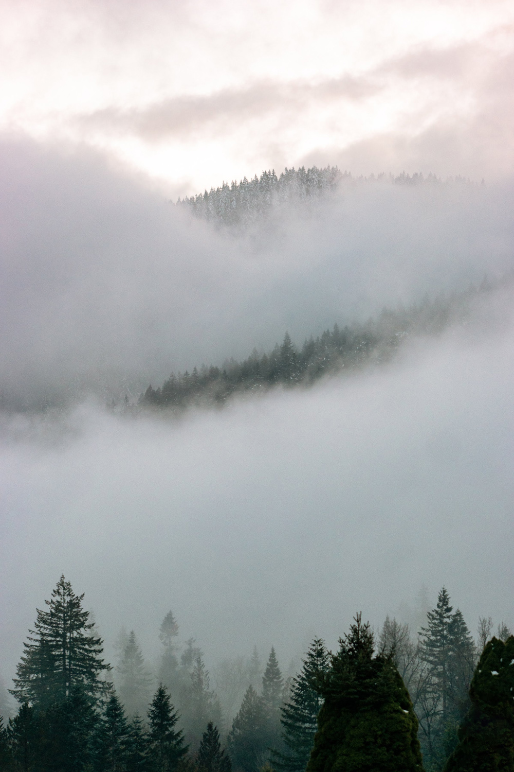 Wasim Muklashy Photography_Mount Hood_Oregon_111.jpg