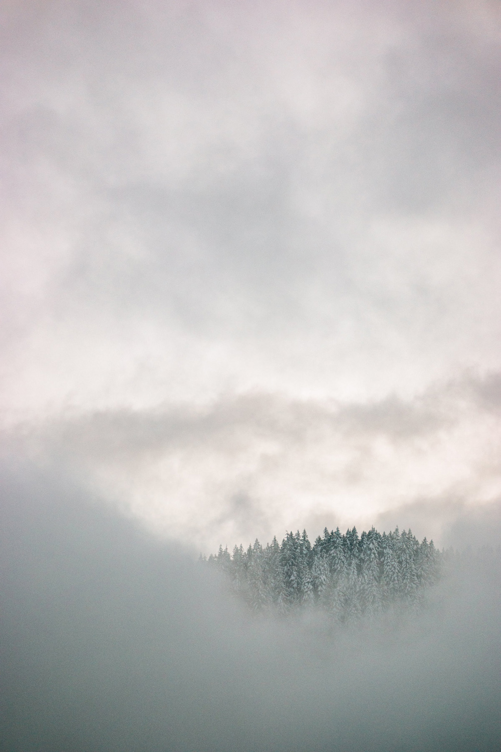 Wasim Muklashy Photography_Mount Hood_Oregon_112.jpg