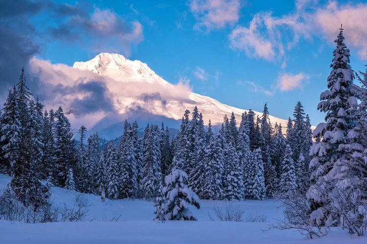 Just To Show Me Who's Boss. Her Majesty, Mount Hood, Just Wanted To Show Me Who's Boss