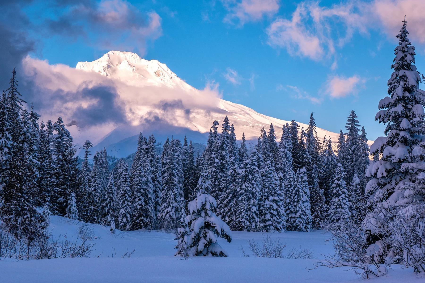 Wasim-Muklashy-Photography_Wasim-of-Nazareth_Mount-Hood_Oregon_125.jpg