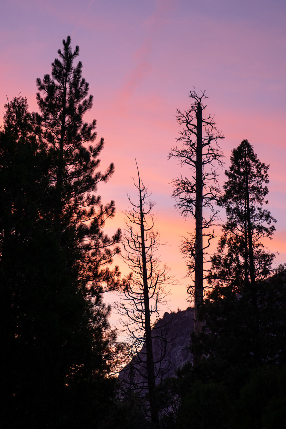 Wasim Muklashy Photography_Sierra Nevada Mountains_Sierras_Kings Canyon Sequoia National Park_California_103 (1).jpg