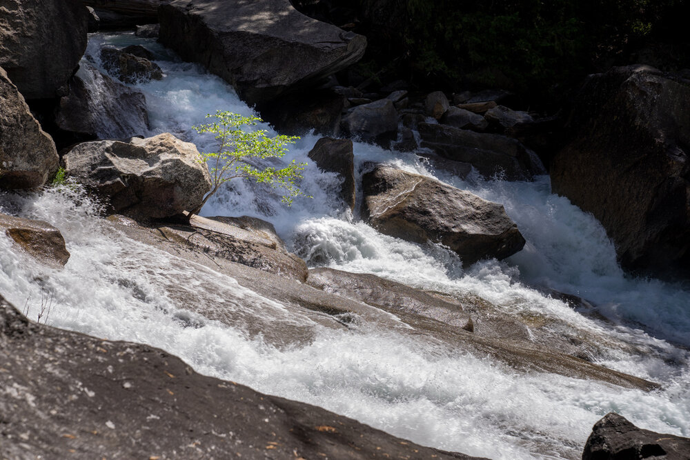 Wasim Muklashy Photography_Sierra Nevada Mountains_Sierras_Kings Canyon Sequoia National Park_California_106.jpg