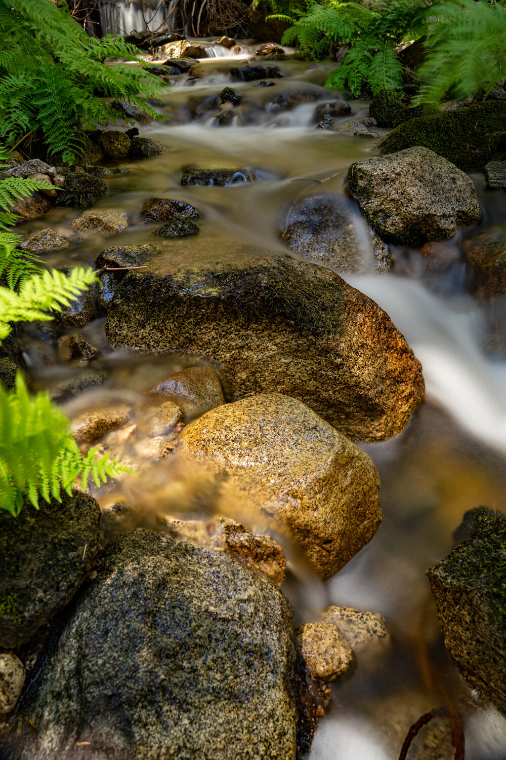 Wasim Muklashy Photography_Sierra Nevada Mountains_Sierras_Kings Canyon Sequoia National Park_California_123.jpg