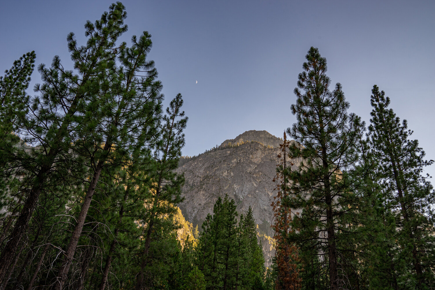 Wasim Muklashy Photography_Sierra Nevada Mountains_Sierras_Kings Canyon Sequoia National Park_California_152.jpg