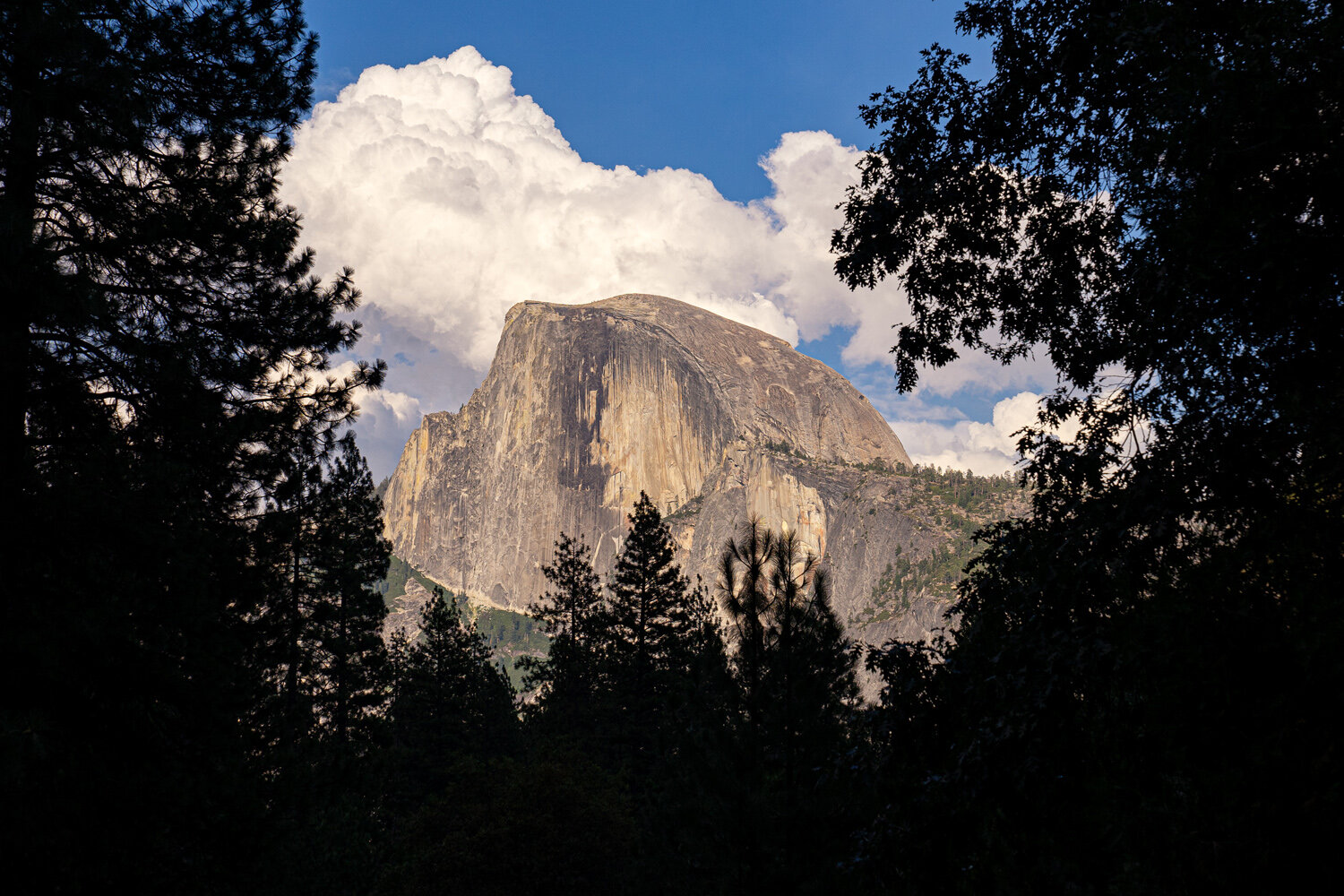 Wasim Muklashy Photography_Sierra Nevada Mountains_Sierras_Tuolumne Meadows_Yosemite National Park_California_101.jpg