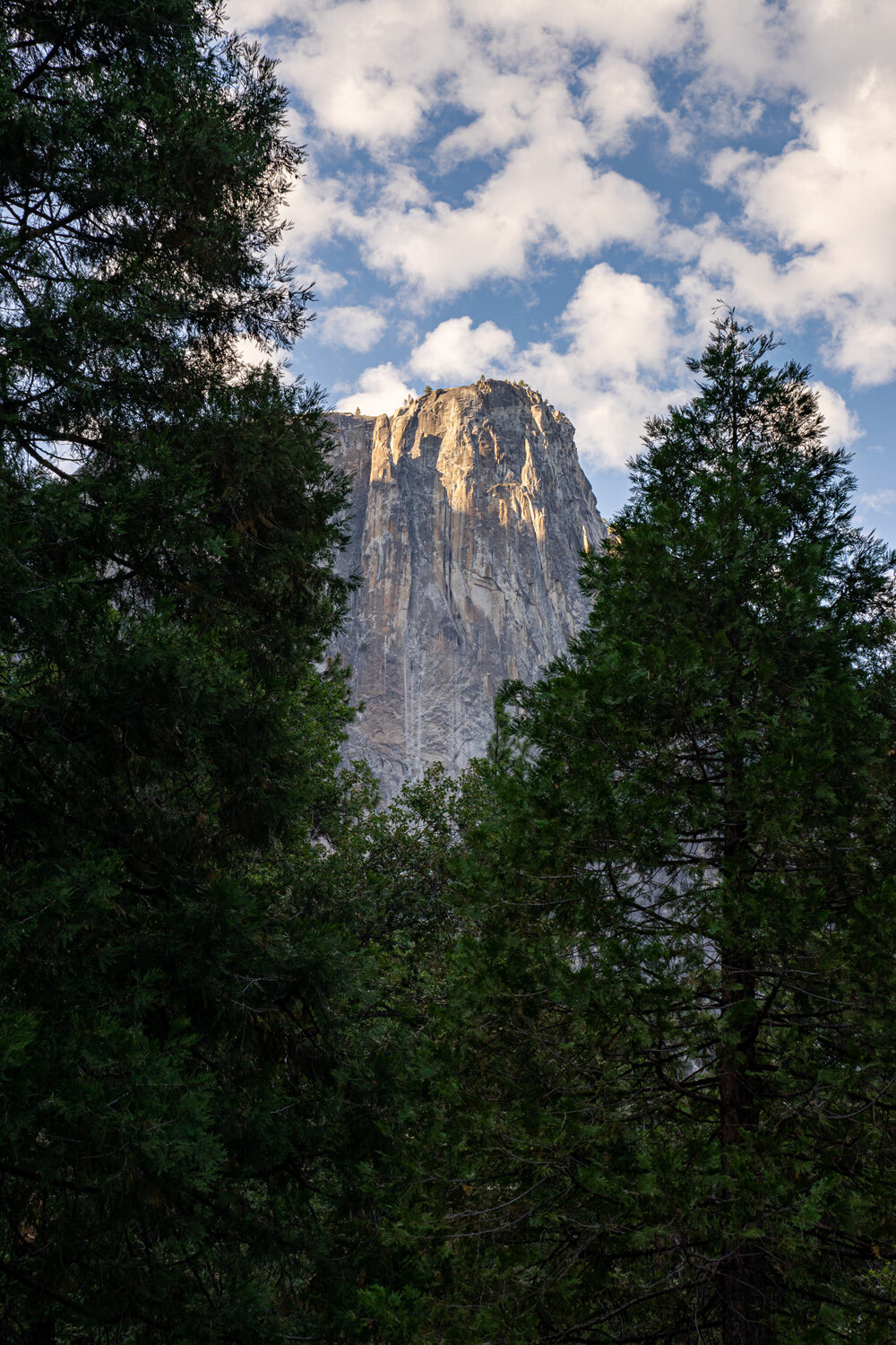 Wasim Muklashy Photography_Sierra Nevada Mountains_Sierras_Tuolumne Meadows_Yosemite National Park_California_102.jpg
