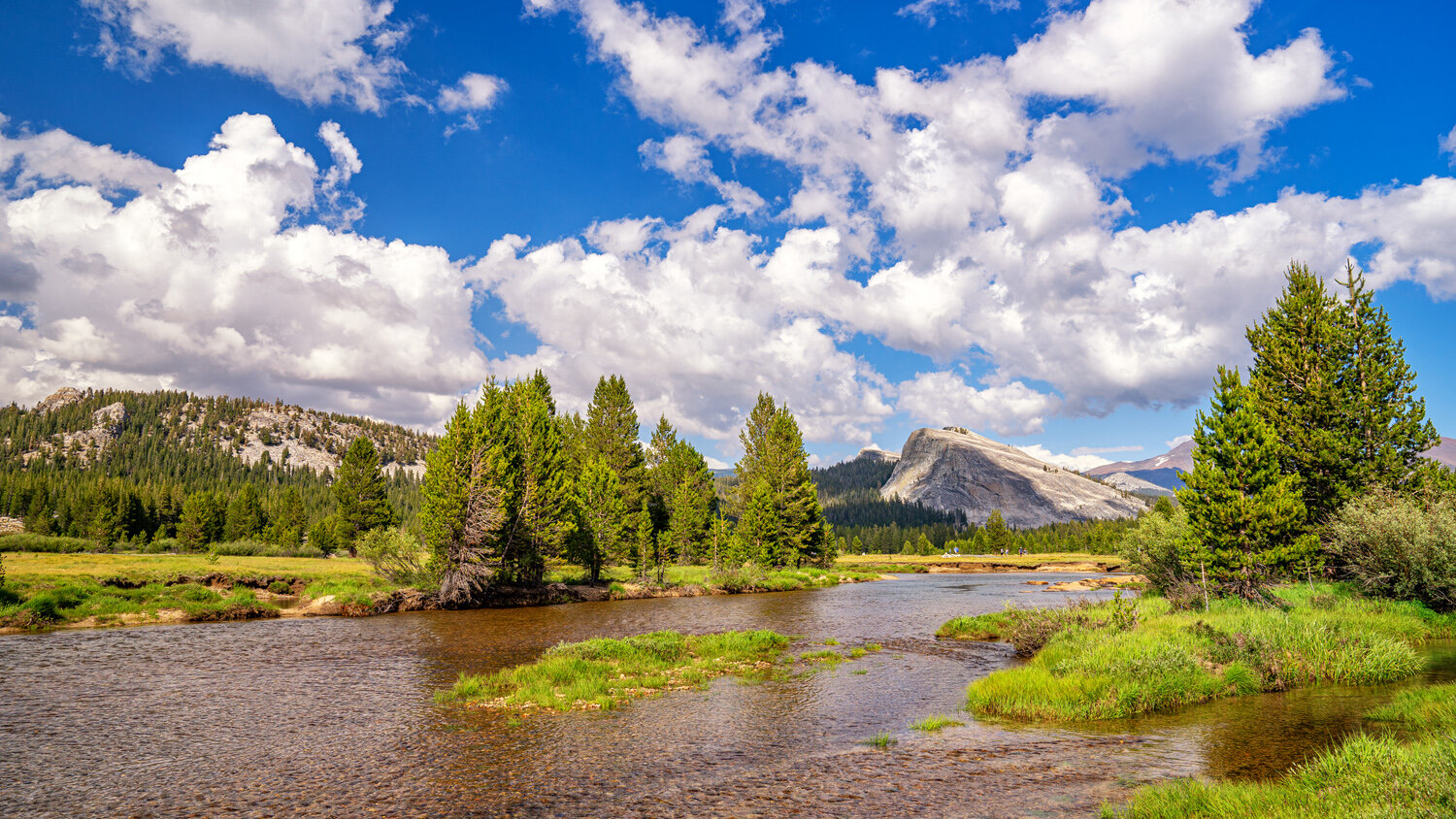 Wasim Muklashy Photography_Sierra Nevada Mountains_Sierras_Tuolumne Meadows_Yosemite National Park_California_104.jpg