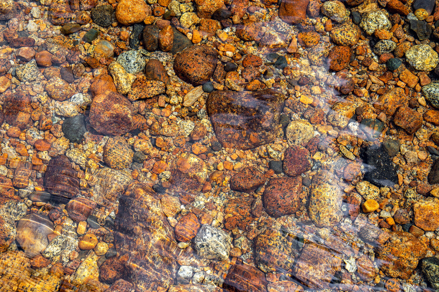 Wasim Muklashy Photography_Sierra Nevada Mountains_Sierras_Tuolumne Meadows_Yosemite National Park_California_103.jpg