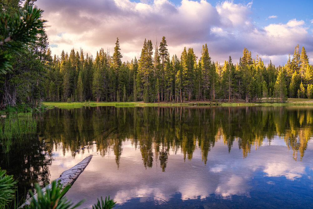 Wasim Muklashy Photography_Sierra Nevada Mountains_Sierras_Tuolumne Meadows_Yosemite National Park_California_113.jpg