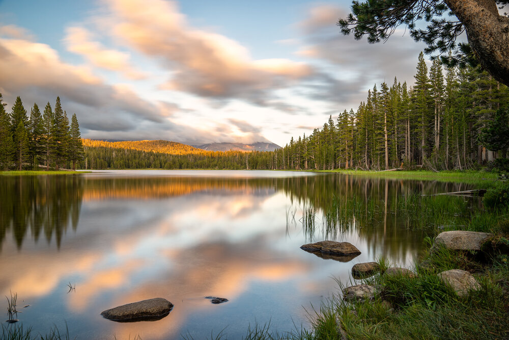 Wasim Muklashy Photography_Sierra Nevada Mountains_Sierras_Tuolumne Meadows_Yosemite National Park_California_118.jpg