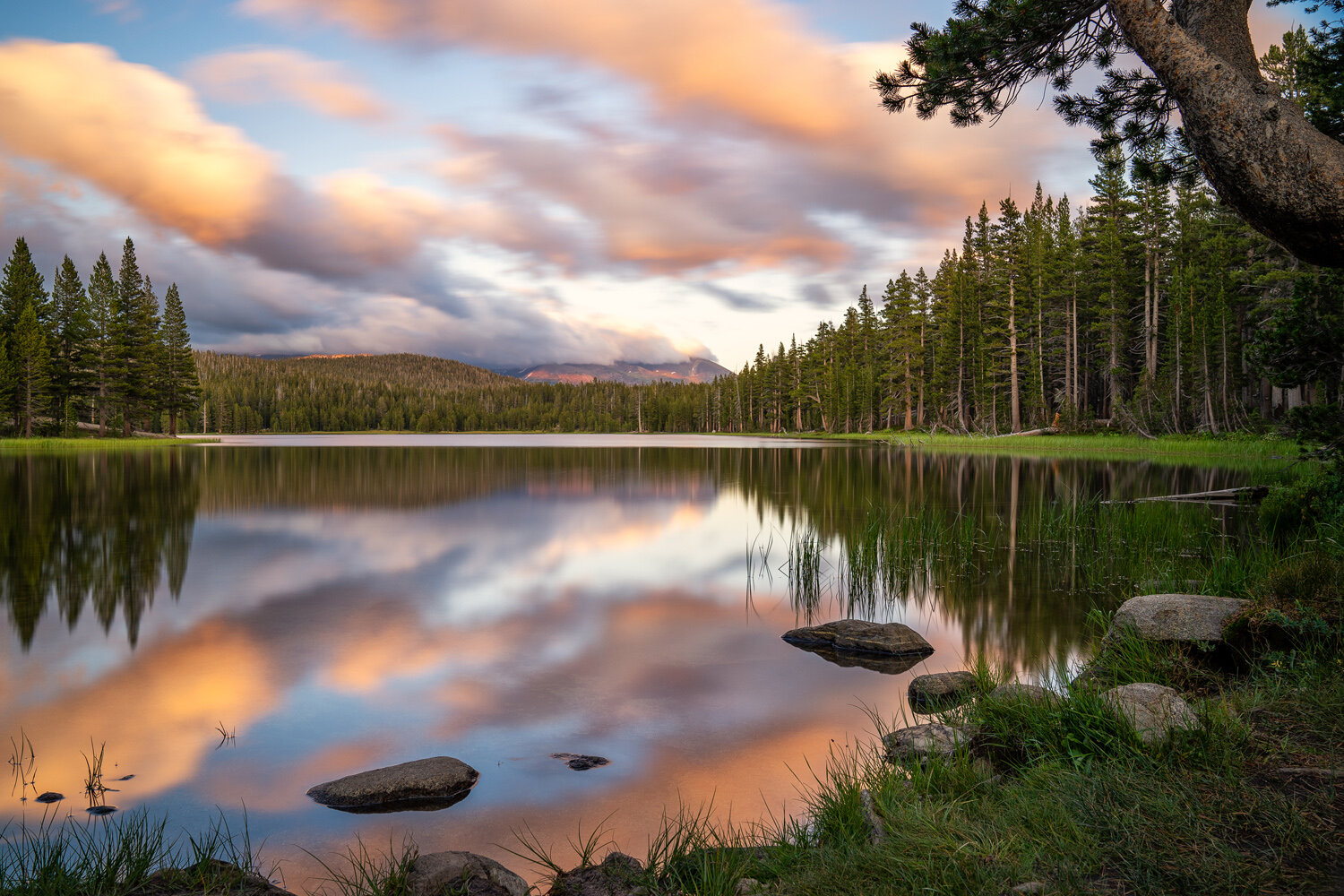 Wasim Muklashy Photography_Sierra Nevada Mountains_Sierras_Tuolumne Meadows_Yosemite National Park_California_119.jpg