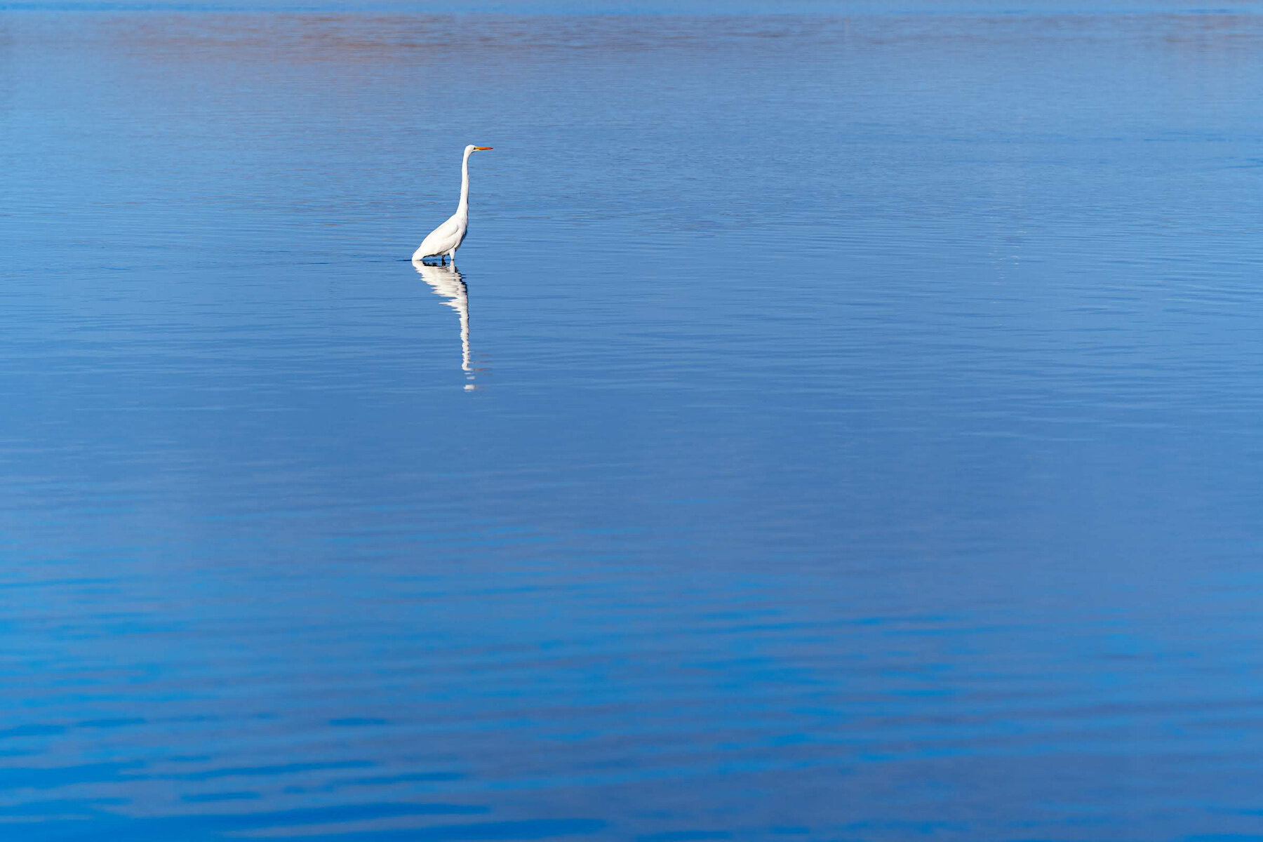 Wasim Muklashy Photography_San Luis Obispo County_California_SLOCal_207.jpg