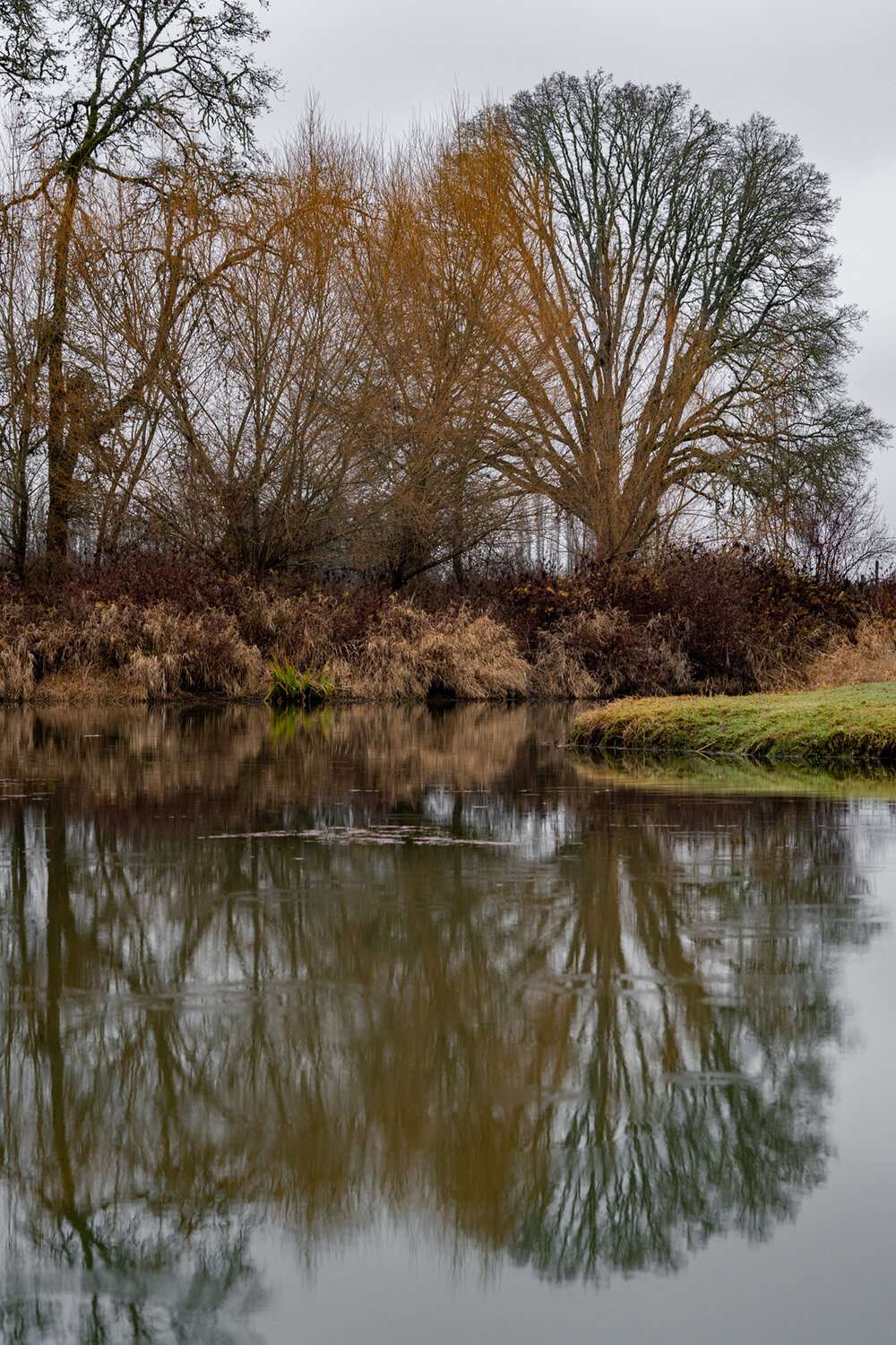 Wasim Muklashy Photography_Portland_Hillsboro_Oregon_Oakwood Gardens_Winter 2019_160.jpg