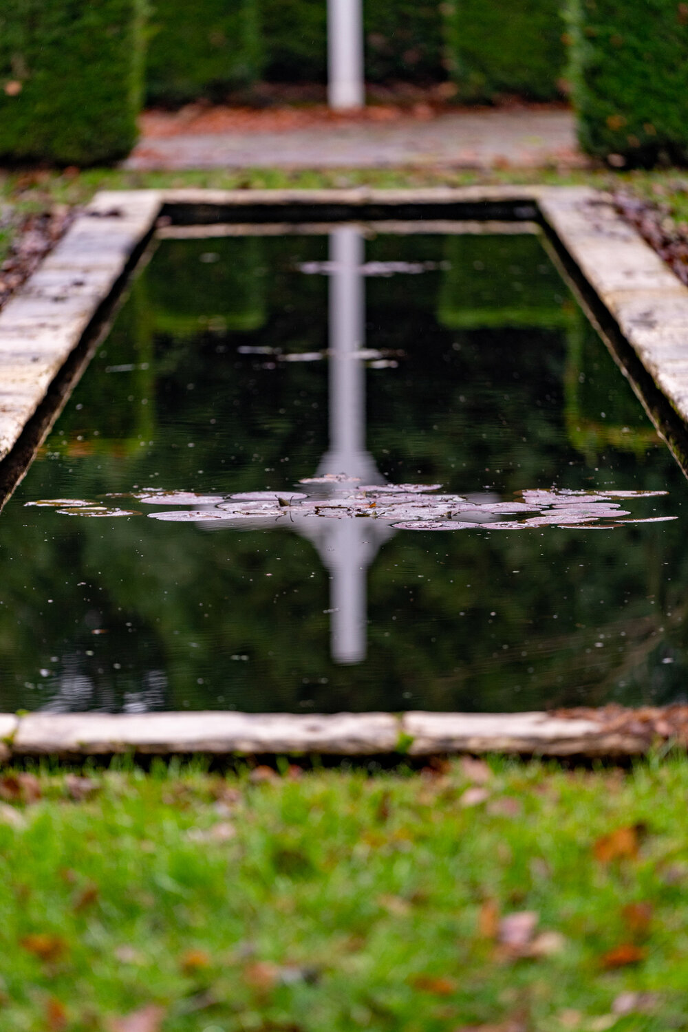 Wasim Muklashy Photography_Portland_Hillsboro_Oregon_Oakwood Gardens_Winter 2019_179.jpg