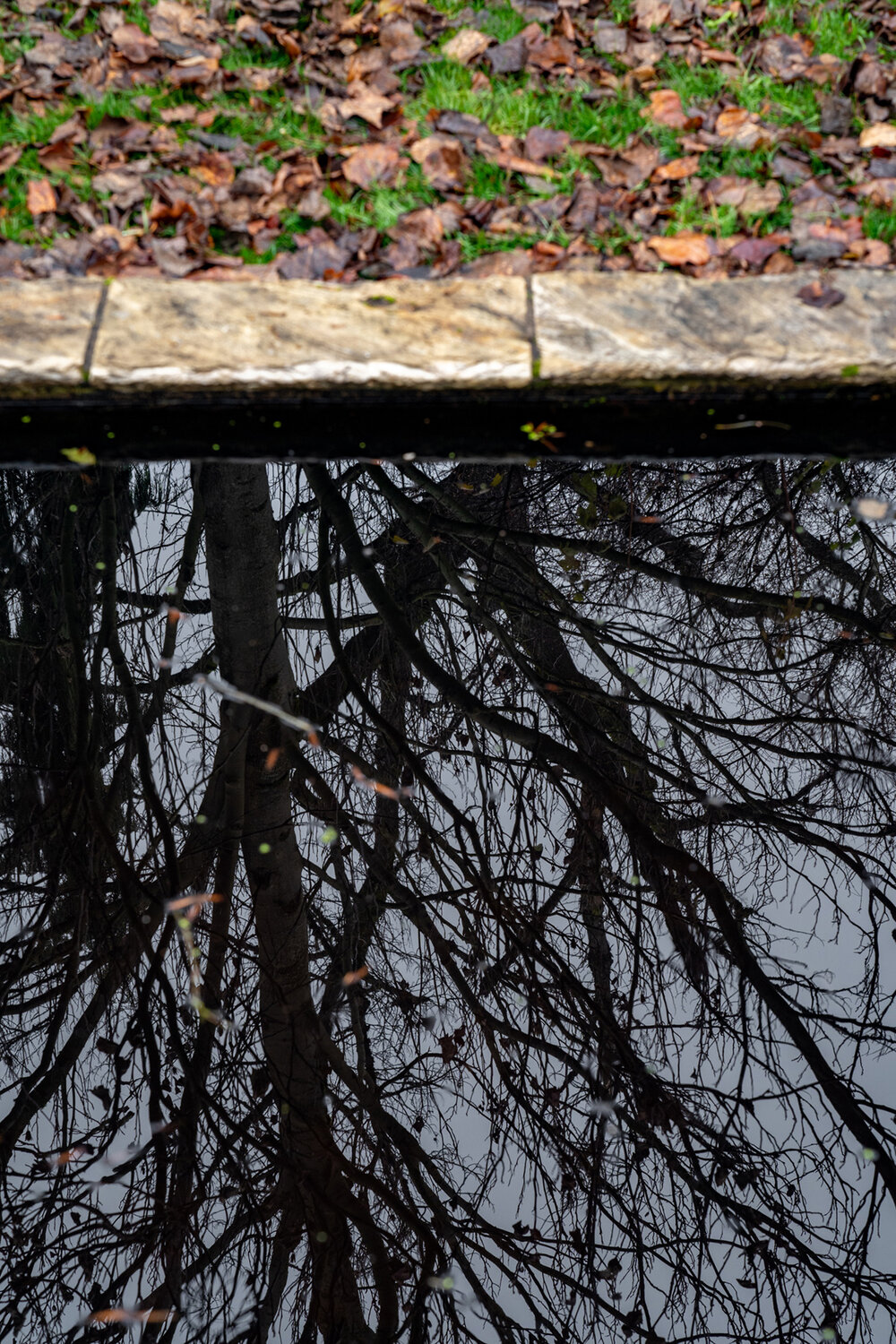 Wasim Muklashy Photography_Portland_Hillsboro_Oregon_Oakwood Gardens_Winter 2019_185.jpg