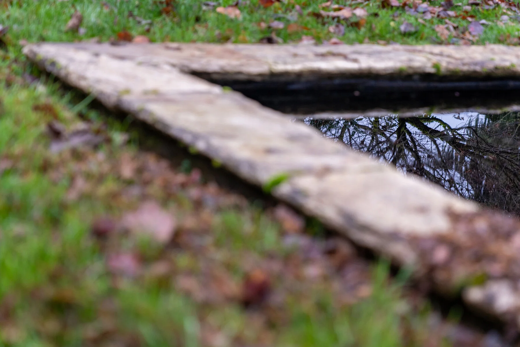 Wasim Muklashy Photography_Portland_Hillsboro_Oregon_Oakwood Gardens_Winter 2019_188.jpg
