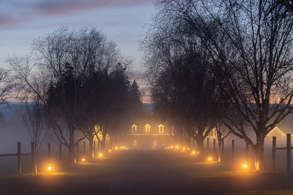 Wasim Muklashy Photography_Portland_Hillsboro_Oregon_Oakwood Gardens_Winter 2019_112.jpg