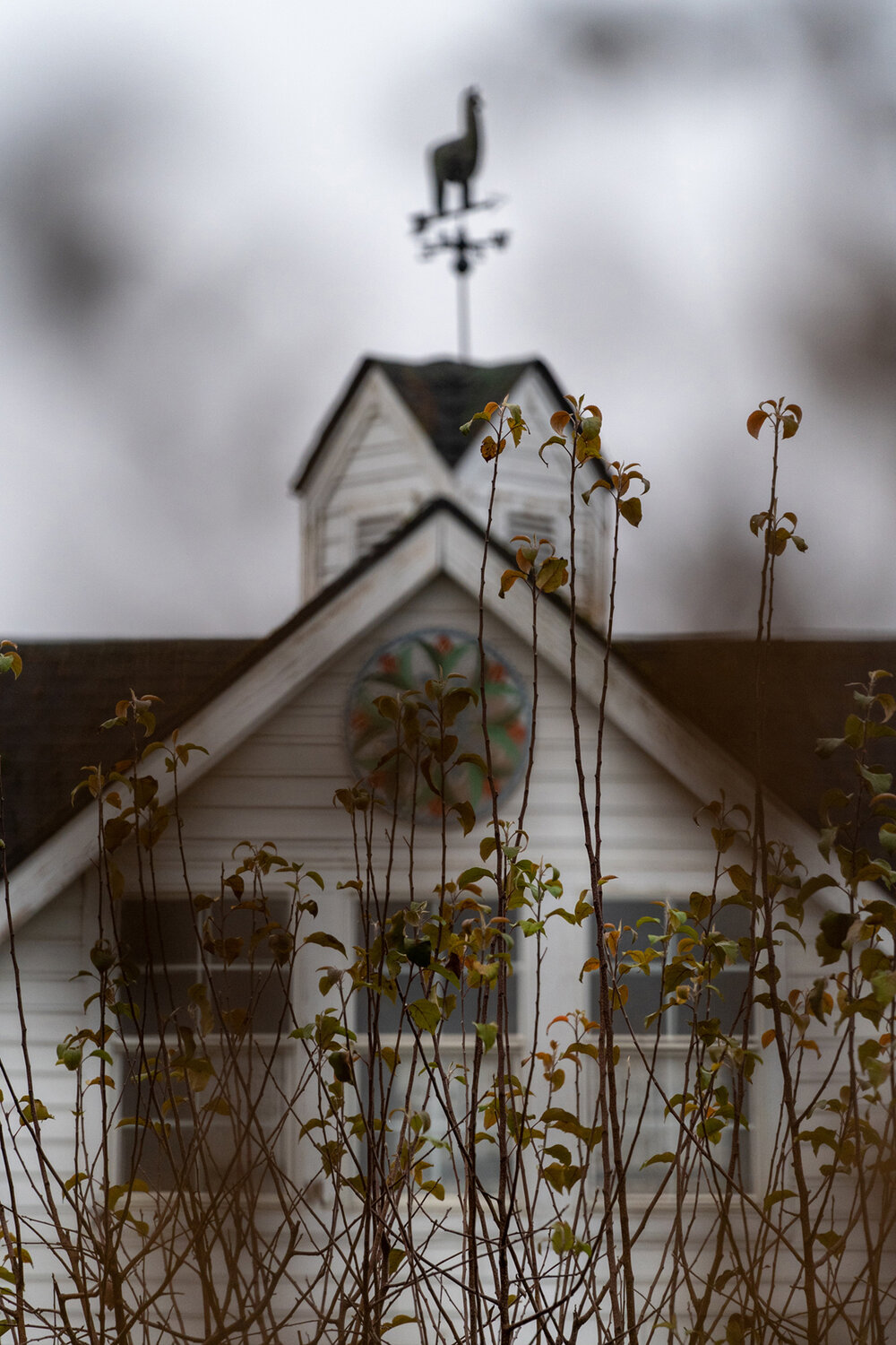 Wasim Muklashy Photography_Portland_Hillsboro_Oregon_Oakwood Gardens_Winter 2019_126.jpg