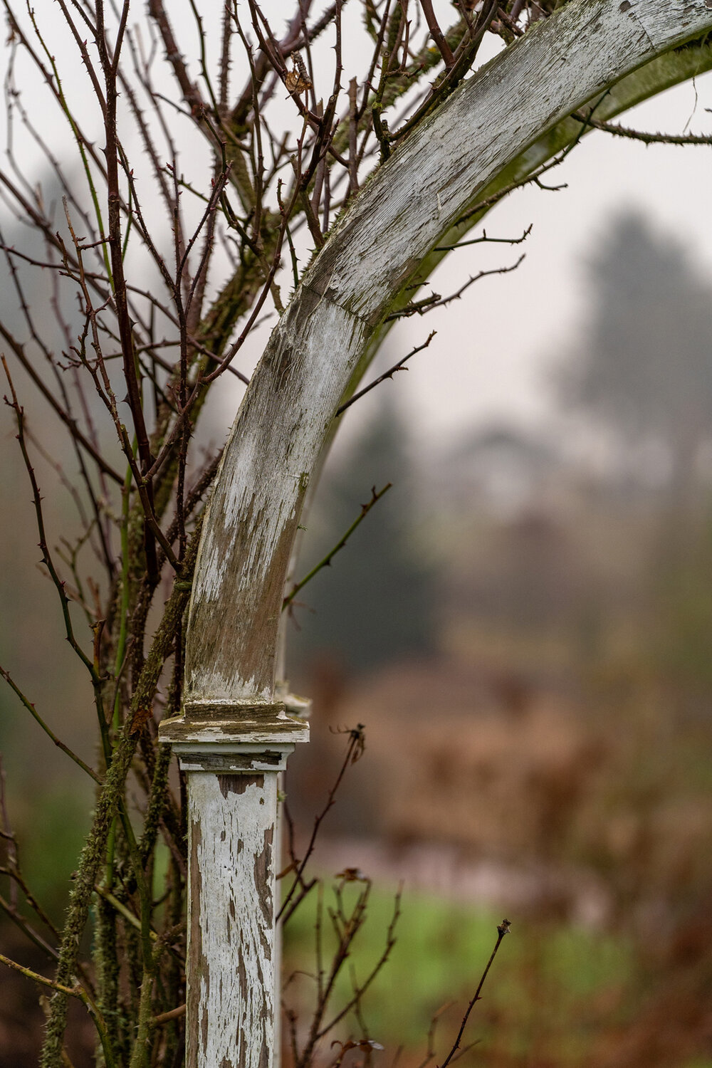 Wasim Muklashy Photography_Portland_Hillsboro_Oregon_Oakwood Gardens_Winter 2019_129.jpg