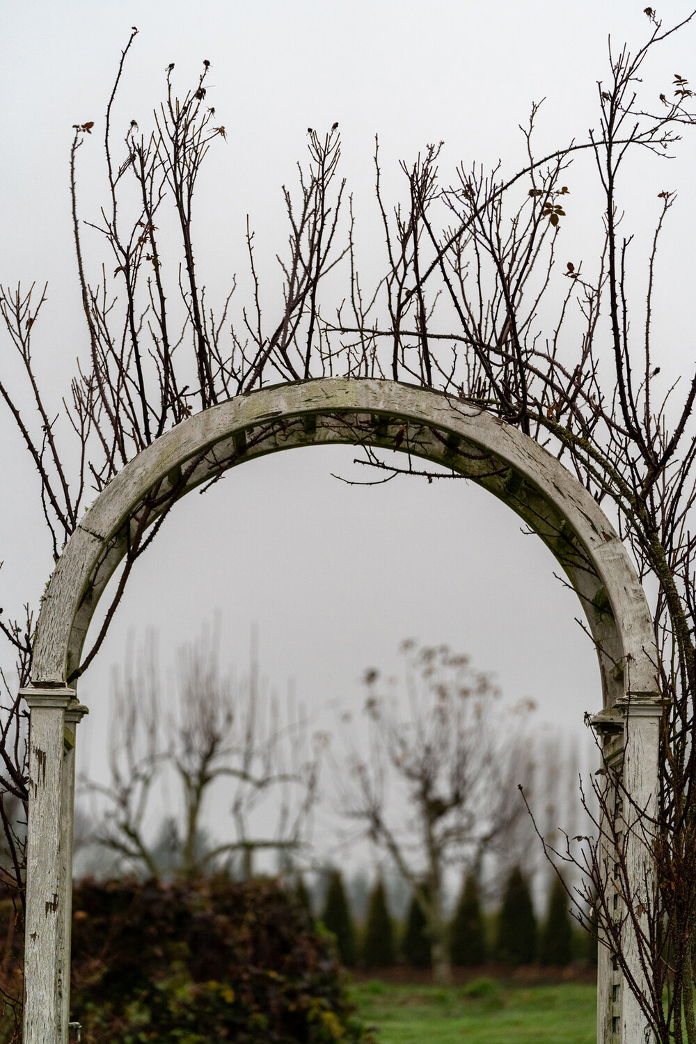 Wasim Muklashy Photography_Portland_Hillsboro_Oregon_Oakwood Gardens_Winter 2019_131.jpg