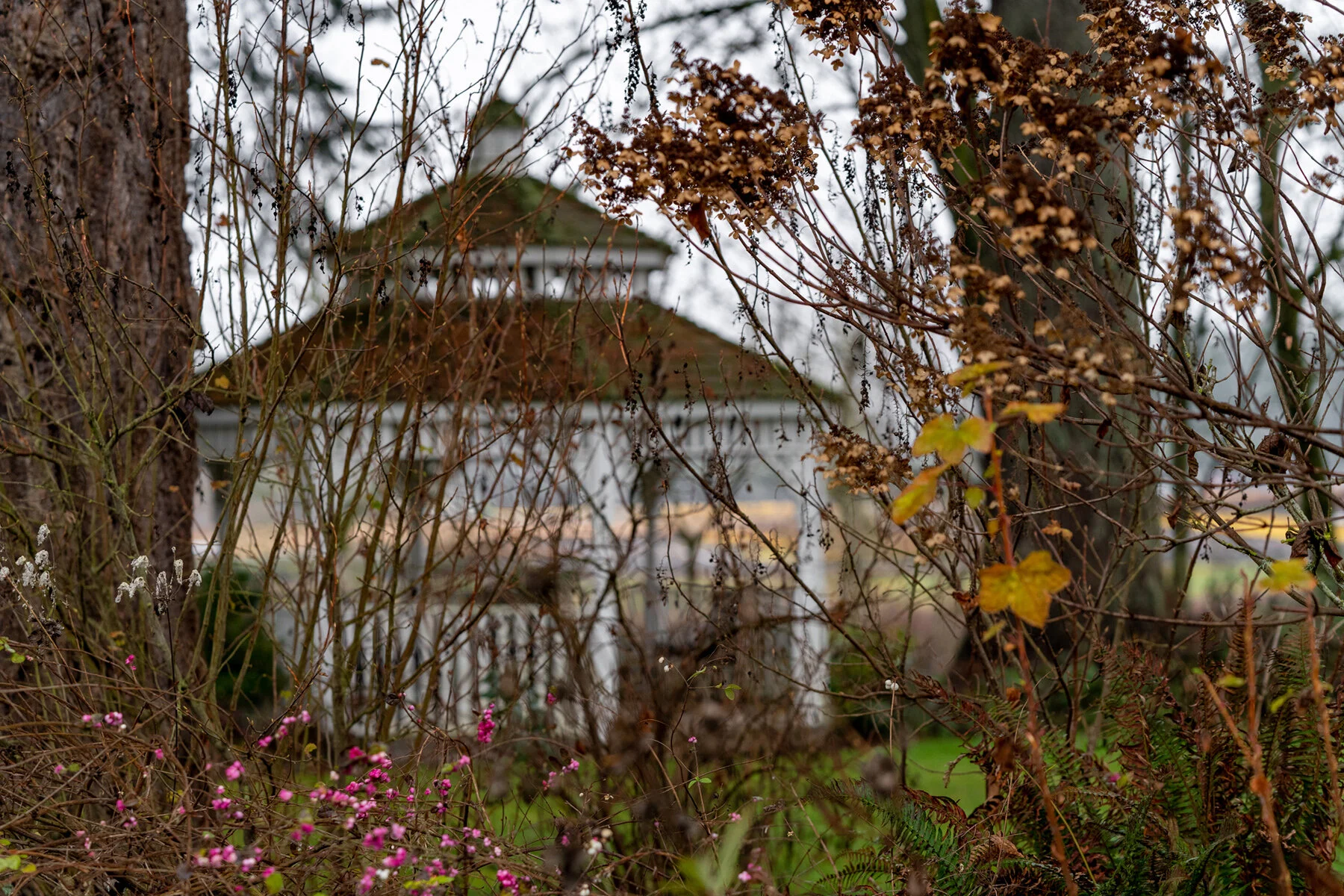 Wasim Muklashy Photography_Portland_Hillsboro_Oregon_Oakwood Gardens_Winter 2019_146.jpg
