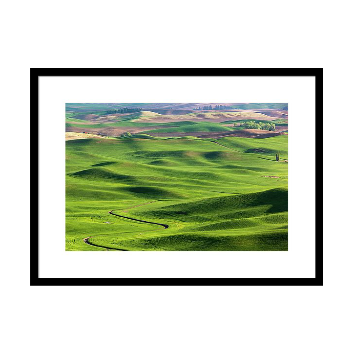 the-lunatic-is-on-the-grass-wasim-muklashy-2.png