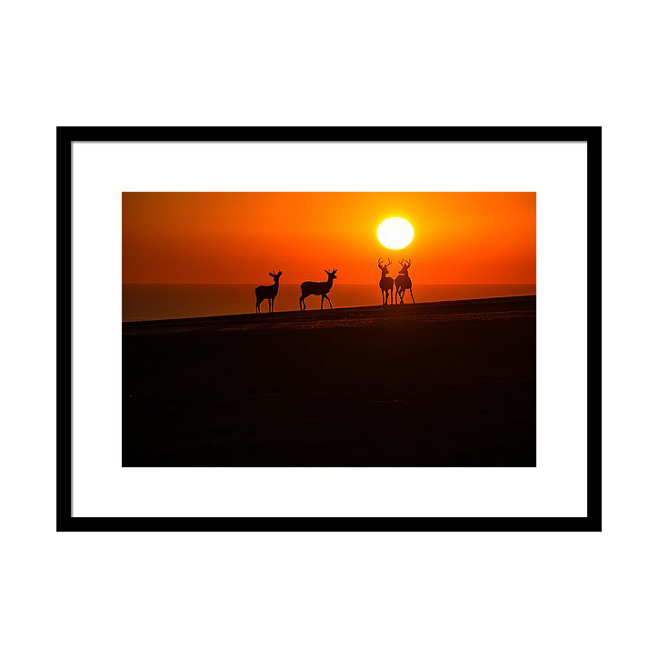 family-time-wasim-muklashy.png