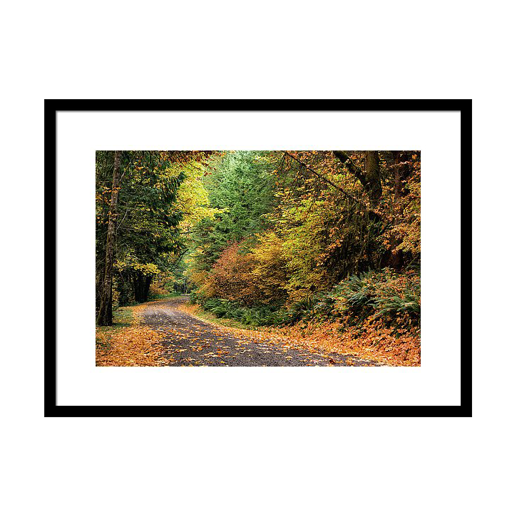 along-more-random-fallen-roads-wasim-muklashy.png