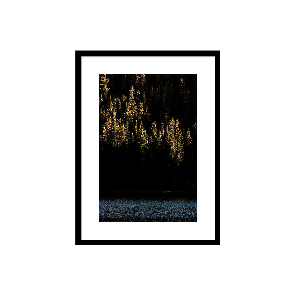 light-brush-strokes-wasim-muklashy.png