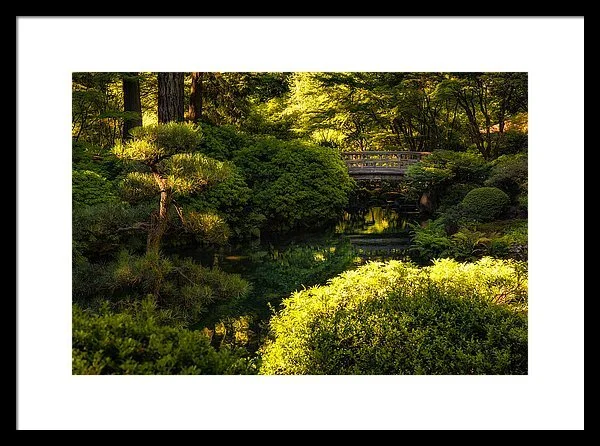In The Zen
