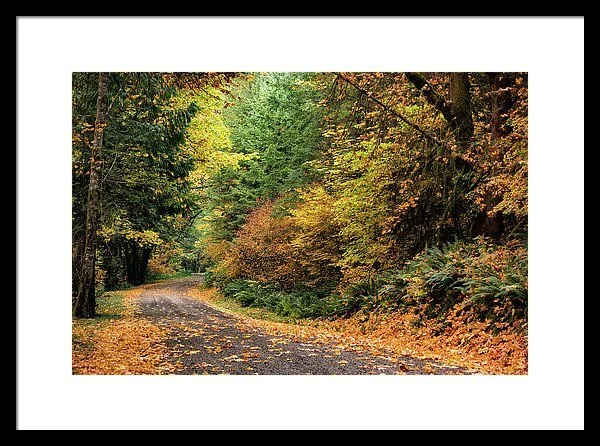 Along The Fallen Roads