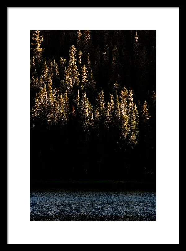 Light Brush Strokes