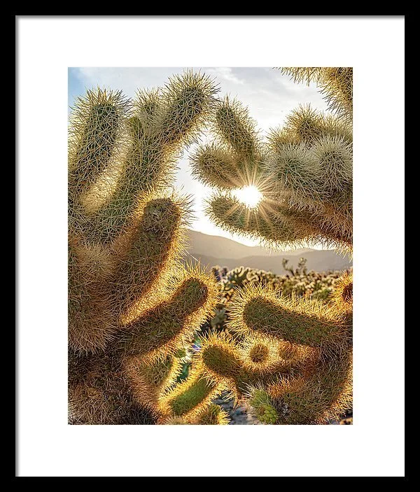 A Little Rough Around The Edges