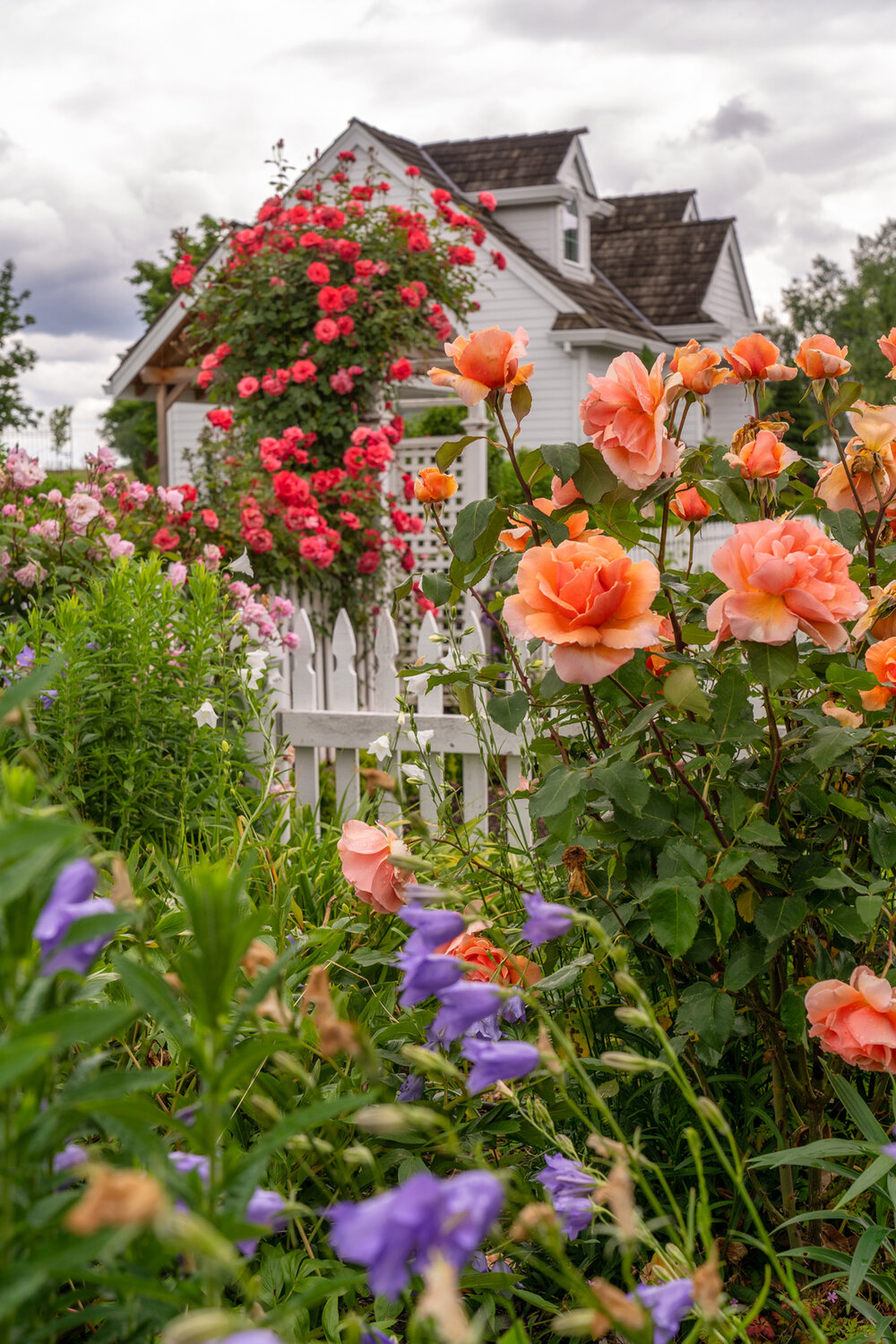 Oakwood Gardens_Hillsboro Oregon_Spring 2020