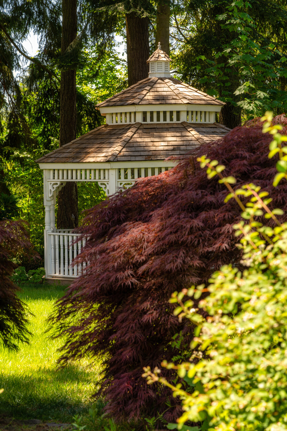 Oakwood Gardens_Hillsboro Oregon_Spring 2020