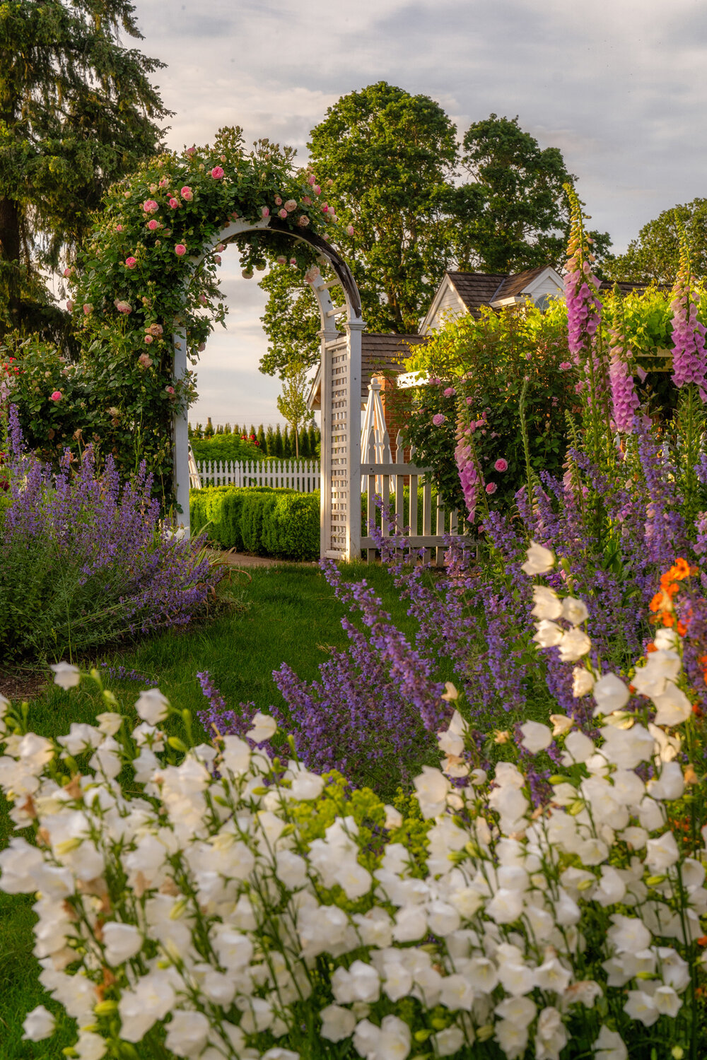 Oakwood Gardens_Hillsboro Oregon_Spring 2020