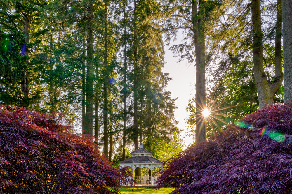 Oakwood Gardens_Hillsboro Oregon_Spring 2020