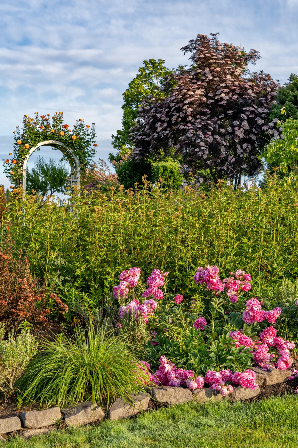 Oakwood Gardens_Hillsboro Oregon_Spring 2020