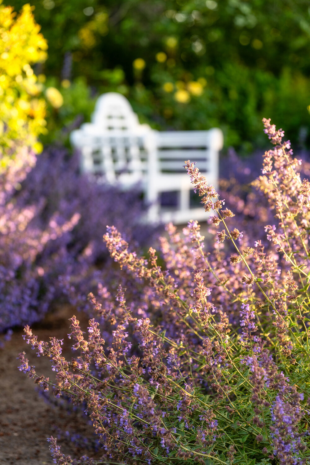 Oakwood Gardens_Hillsboro Oregon_Spring 2020