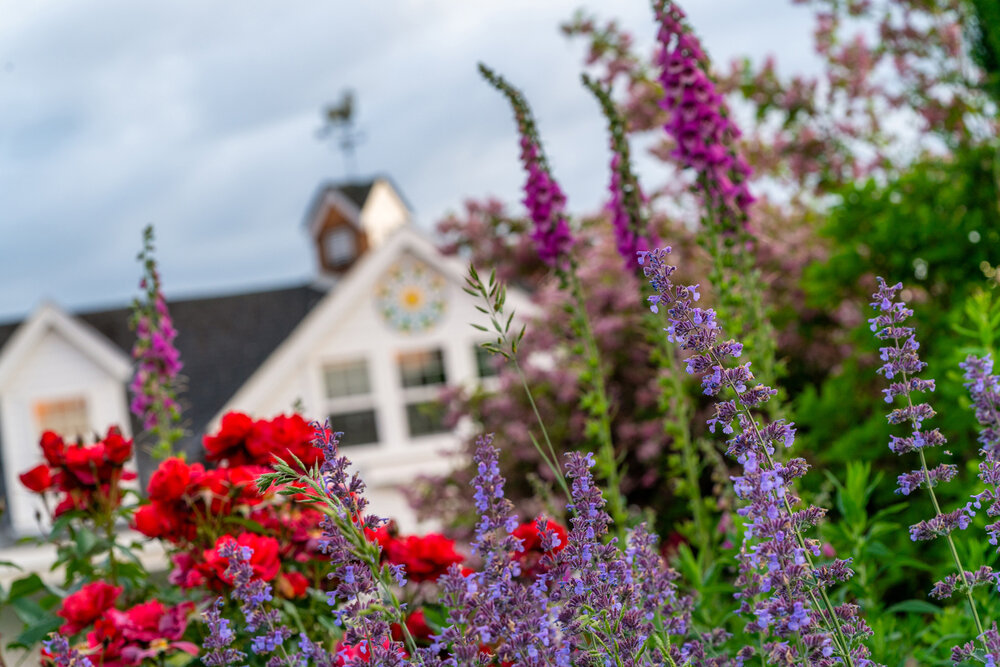 Oakwood Gardens_Hillsboro Oregon_Spring 2020