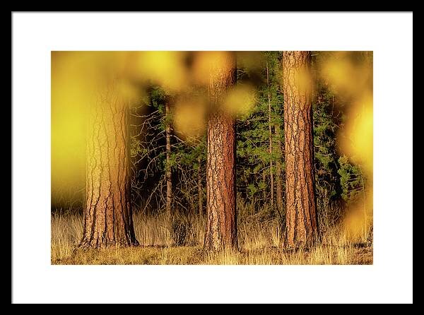 Part of the Algorithm