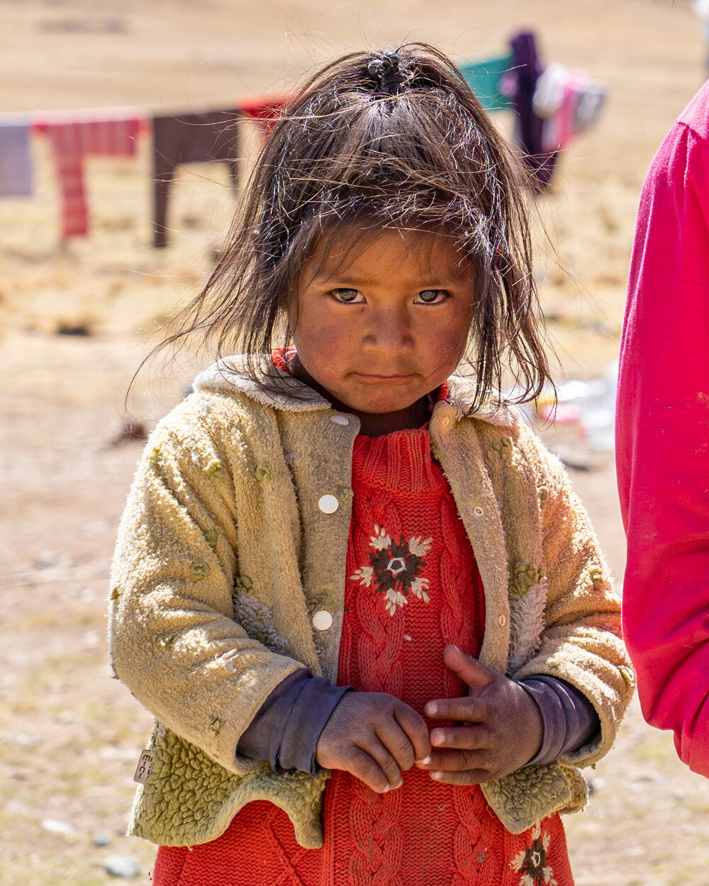 042_Wasim Muklashy Photography_Andes Mountains_Peru_Quechua Benefit_Picotani_Vicuna Chaccu.jpg